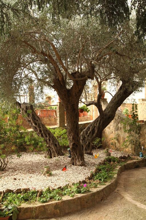 Bed & Breakfast Casablanca
